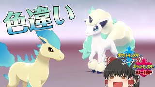 【ポケモン剣盾】ホーム解禁！美しい色違いポニータを並べてみた【ゆっくり実況】色違い♯8