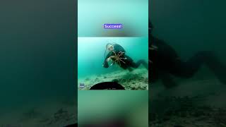 Watch diver's mesmerizing rescue of trapped crab | Humankind #shorts #goodnews