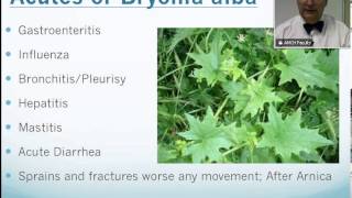 Bryonia Alba: Homeopathic Medicine -Tips For Beginners