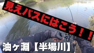 油ヶ淵の見えバスだけを狙う！