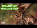 Making a drum from animal skin with the Baka Pygmies | CENTRAL AFRICAN REPUBLIC
