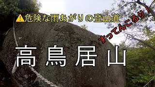 【低山登山】雨あがりの高鳥居山　滑って尻もち⚠️