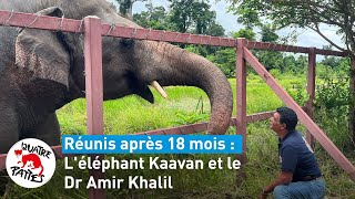 Les retrouvailles de Kaavan et du Dr. Amir Khalik | QUATRE PATTES