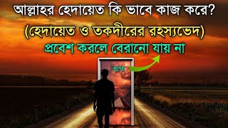 হেদায়েত ও ভাগ্যের রহস্যভেদ- এবং কি ভাবে কাজ করে এটি?? ৯৮% মানুষ যা জানেনা || Hafiz Masud..