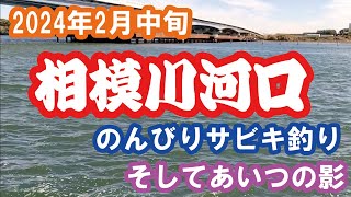 【2024年2月中旬】相模川河口にてサビキ釣り【釣行】とお知らせ