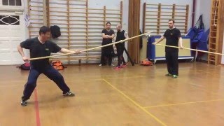 Basic exercises for daqiang (long spear)