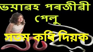 পেলু চিকিৎসা |intestinal worms|| Dr #Haris Well future