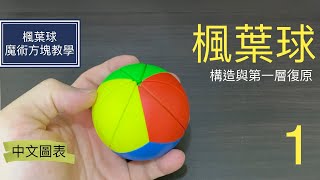 楓葉球魔術方塊教學第一集 | Maple ball 構造與第一層復原 (中文圖表) 魔術方塊第三層