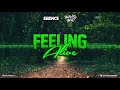 Silence x Barthezz Brain - Feeling Alive!