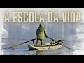 A ESCOLA DA VIDA |As Lições da Escola da vida. Motivação Diária (Mensagens que curam a alma)