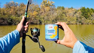 4 Hours of RAW and UNCUT Kayak Catfish and Carp Fishing with Mandarin Oranges and Live Bluegill