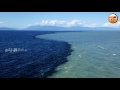 gulf of alaska reason behind why two oceans doesn t merge