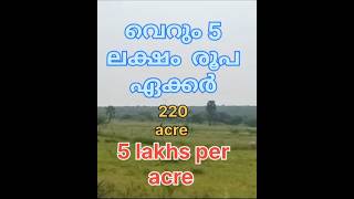 #5lakhsper#acre220landfor#saleഏക്കർ#5ലക്ഷംരൂപ#220ഏക്കർ വിൽപ്പനയ്ക്ക്