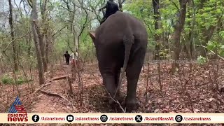 കാടിറങ്ങുന്ന വന്യമൃഗങ്ങളുടെ സഞ്ചാരപാത തിരിച്ചറിയാൻ Al ക്യാമറ