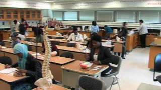 Associate in Arts Degree