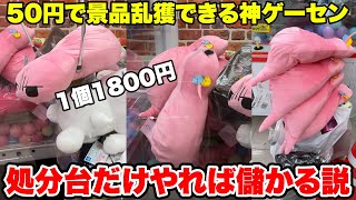 50円で景品が取れるゲーセンの処分台だけやれば稼げる説　#ufoキャッチャー #ゲーセン