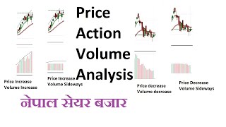 Price Action with Volume Analysis Nepal|Volume vs price Nepse|Volume Indicator Nepal|Trend reversal