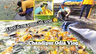 ଏ ବାଳ କେତେ ମାଛ ନେଇଗଲା 😲 ll Chandipur Odia Vlog ll Odia Vlogs @rupapin2khushiexpress443 #odiavlog