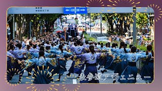 【4K公式】原宿表参道元氣祭　スーパーよさこい「天つかさ」/表参道アヴェニュー/2024