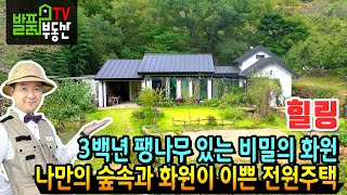 (힐링) 3백년 수령 팽나무가 있는 비밀의 화원 주택! 전남 순천 전원주택 돌담 등 옛스러운 정취와 화려한 꽃 과실수 순천부동산 - 발품부동산TV KOREA HOUSE TOUR