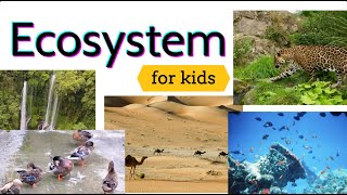 The Ecosystem | What are Ecosystems | Types of Ecosystems