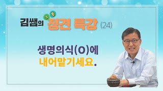 [김쌤의 3분 정견특강]  #24. 생명의식에 내어맡기세요.