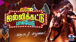 🔴LIVE : Jallikattu Live 2025 | பாலமேடு ஜல்லிக்கட்டு.. சீறிப்பாய காத்திருக்கும் காளைகள் | Palamedu