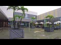 【4k】 mitsui outlet park 台中港 virtual taiwan │taichung walk