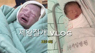 출산 브이로그 | 38주 0일 제왕절개, 동탄제일병원 vip실