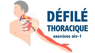 Défilé thoracique : exercices niveau 1 - débutants (douleur et engourdissements bras - main)