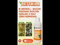 BESTKILL - Racun serangga biologi