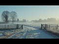 a playlist for reading on calm winter days