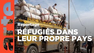 Syrie - Liban : l'exil sans fin | ARTE Reportage