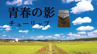 【カリンバ演奏】青春の影（チューリップ）/Kalimba