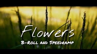 FLOWERS B-Roll and Speedramp