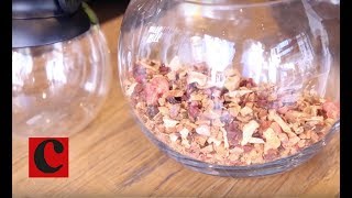 Starbucks launches 'Teavana' hot brewed teas