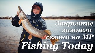 Закрытие зимнего сезона на МР. Щука 3350 - Fishing Today