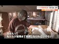 猫60匹まで繁殖…置き去りにして引っ越し　飼い主は…　痩せ細り、けがだらけ　多頭飼育崩壊の実態