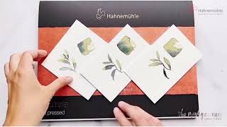 Hahnemühle The Collection 640 gsm Watercolour Paper surfaces tested by TheMintGardener