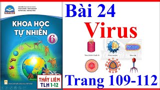 Khoa Học Tự Nhiên Lớp 6 Bài 24 | Virus | Trang 109 - 112 | Chân Trời Sáng Tạo