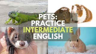 Pets: Practice Intermediate English #learnenglish #intermediateenglish #practiceenglish