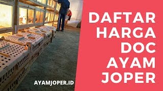 Daftar Harga Doc Ayam Joper