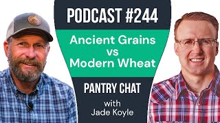 The Truth About Your Food: Ancient Grains vs. Modern Wheat