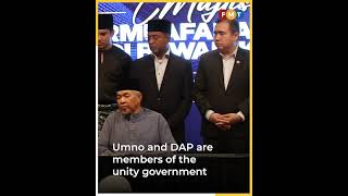 Umno Youth chief says unity govt can prove DAP is not anti Malay