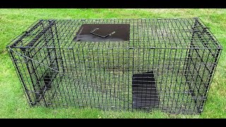 Humane Way Live Trap Assembly Tutorial