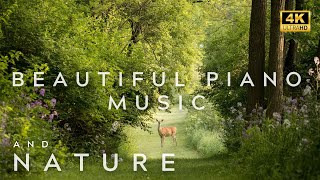 Beautiful Piano Music and Nature | Relaxing Music | Classical | 4K Music Video