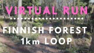 Virtual run  |  Helsinki Central Park 1km forest loop (Finland)  |  Easy running - 5 minutes