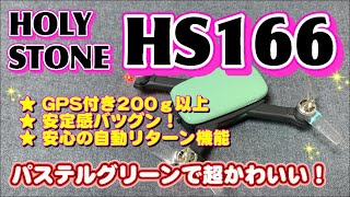 HolyStone  HS166 コンパクトで使いやすい！