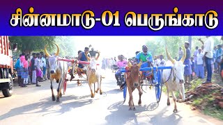 புதுகை{மா}பெருங்காடு∆சின்னமாடு•1/பந்தயம்