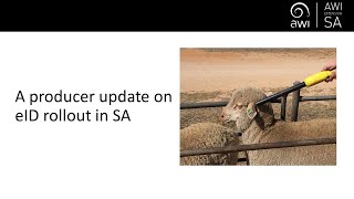 A producer update on eID rollout in SA  with Jodie Reseigh-O'Brien, Pene Keynes and Tara Vandeleur